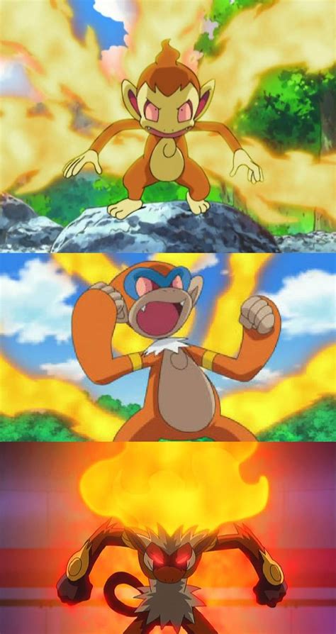 infernape nature|infernape blaze.